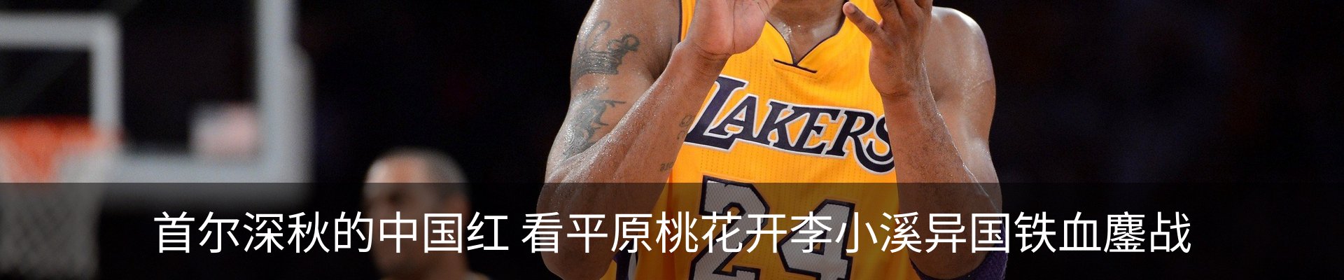 内页banner